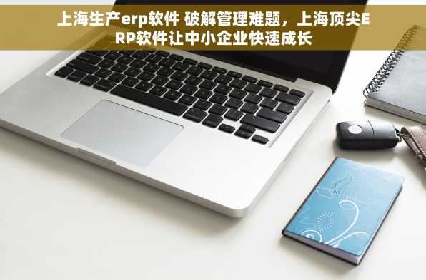 上海生产erp软件 破解管理难题，上海顶尖ERP软件让中小企业快速成长