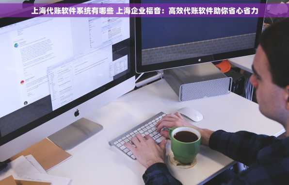 上海代账软件系统有哪些 上海企业福音：高效代账软件助你省心省力