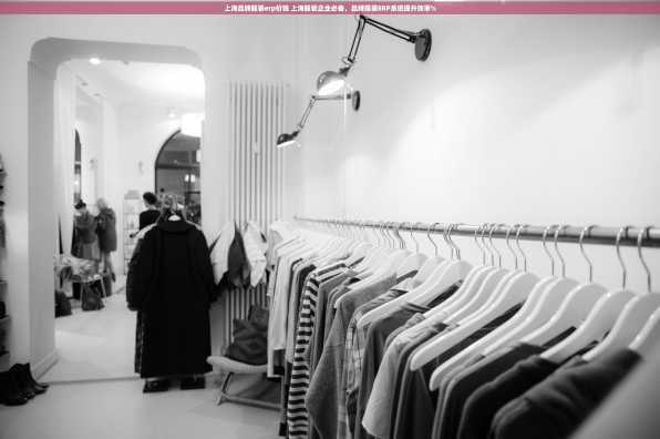 上海品牌服装erp价钱 上海服装企业必备，品牌服装ERP系统提升效率%
