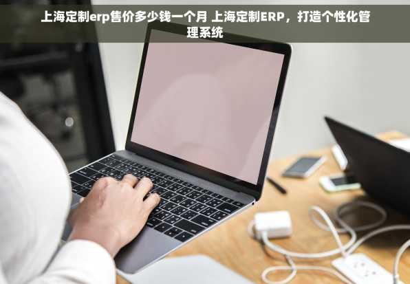 上海定制erp售价多少钱一个月 上海定制ERP，打造个性化管理系统