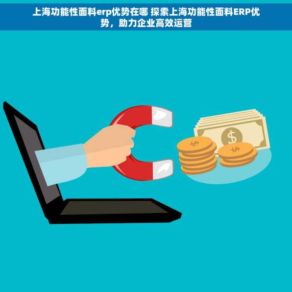 上海功能性面料erp优势在哪 探索上海功能性面料ERP优势，助力企业高效运营