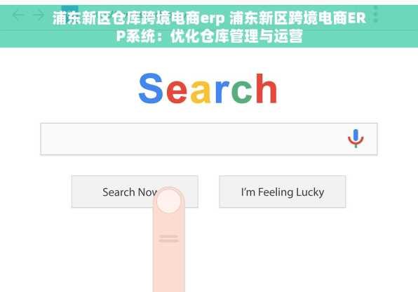 浦东新区仓库跨境电商erp 浦东新区跨境电商ERP系统：优化仓库管理与运营