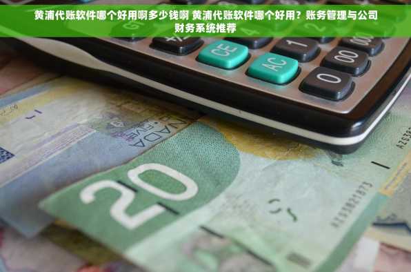 黄浦代账软件哪个好用啊多少钱啊 黄浦代账软件哪个好用？账务管理与公司财务系统推荐