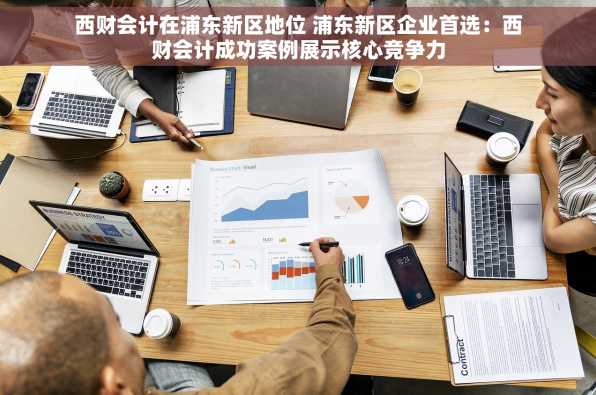 西财会计在浦东新区地位 浦东新区企业首选：西财会计成功案例展示核心竞争力