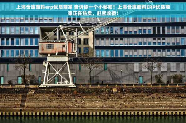 上海仓库面料erp优质商家 告诉你一个小秘密！上海仓库面料ERP优质商家正在热卖，赶紧收藏！