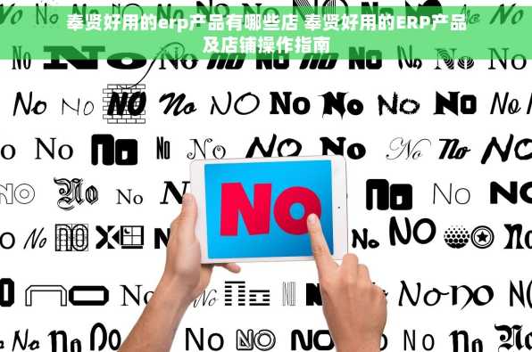 奉贤好用的erp产品有哪些店 奉贤好用的ERP产品及店铺操作指南