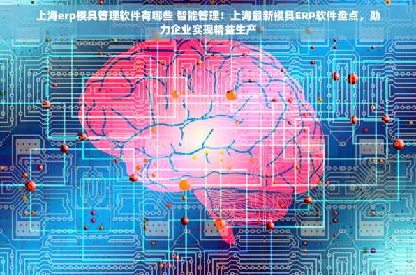 上海erp模具管理软件有哪些 智能管理！上海最新模具ERP软件盘点，助力企业实现精益生产