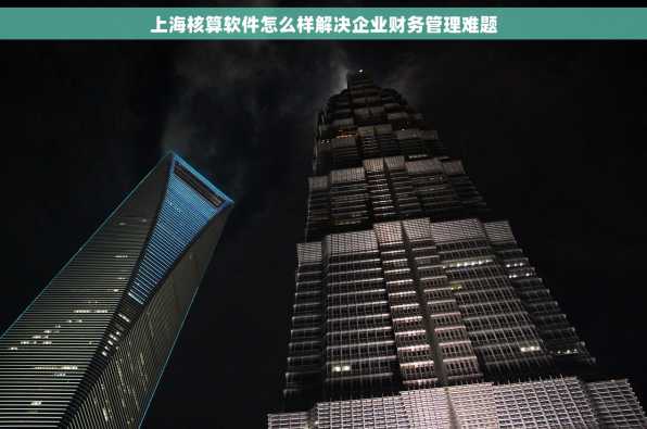 上海核算软件怎么样解决企业财务管理难题
