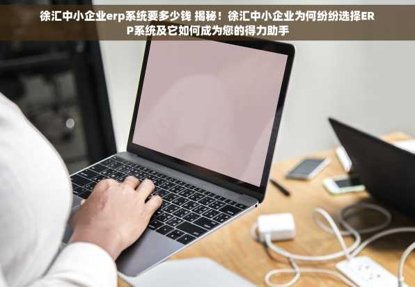徐汇中小企业erp系统要多少钱 揭秘！徐汇中小企业为何纷纷选择ERP系统及它如何成为您的得力助手