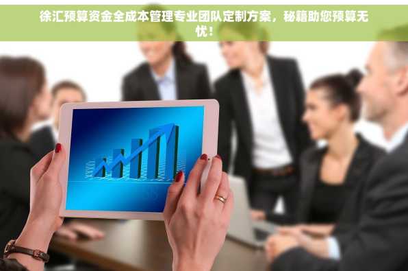 徐汇预算资金全成本管理专业团队定制方案，秘籍助您预算无忧！