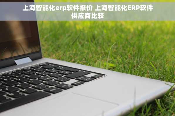 上海智能化erp软件报价 上海智能化ERP软件供应商比较