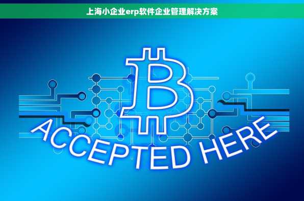 上海小企业erp软件企业管理解决方案