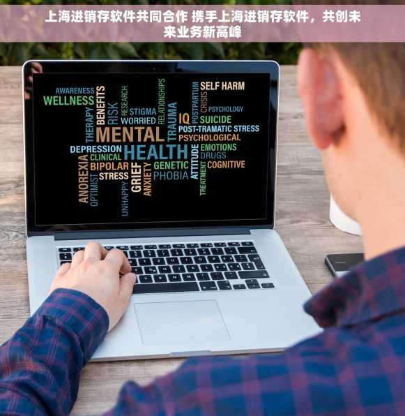 上海进销存软件共同合作 携手上海进销存软件，共创未来业务新高峰