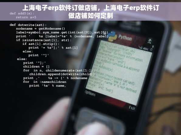 上海电子erp软件订做店铺，上海电子erp软件订做店铺如何定制