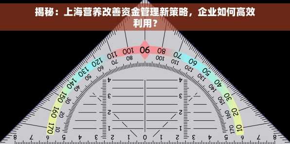 揭秘：上海营养改善资金管理新策略，企业如何高效利用？