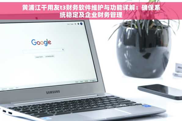黄浦江干用友t3财务软件维护与功能详解：确保系统稳定及企业财务管理