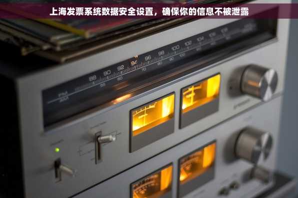 上海发票系统数据安全设置，确保你的信息不被泄露