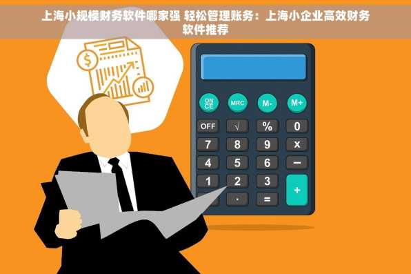 上海小规模财务软件哪家强 轻松管理账务：上海小企业高效财务软件推荐