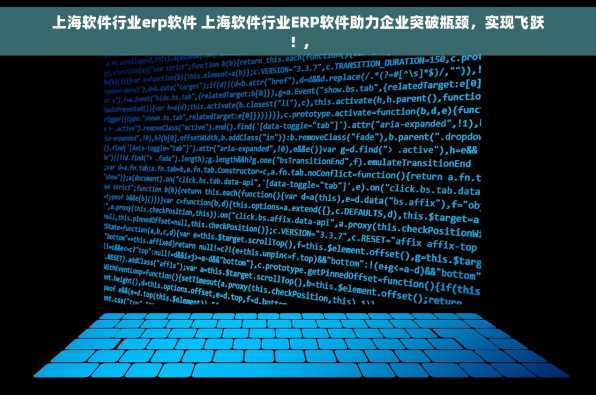 上海软件行业erp软件 上海软件行业ERP软件助力企业突破瓶颈，实现飞跃！,