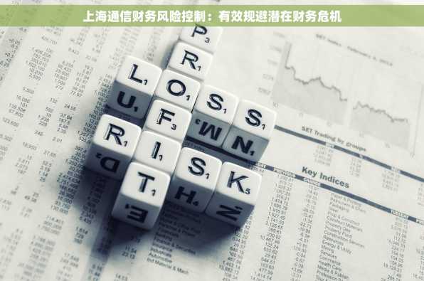 上海通信财务风险控制：有效规避潜在财务危机