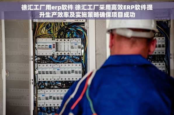 徐汇工厂用erp软件 徐汇工厂采用高效ERP软件提升生产效率及实施策略确保项目成功
