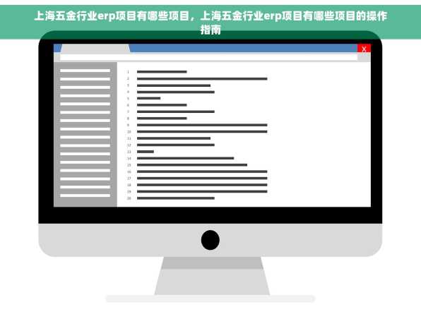 上海五金行业erp项目有哪些项目，上海五金行业erp项目有哪些项目的操作指南