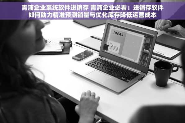 青浦企业系统软件进销存 青浦企业必看：进销存软件如何助力精准预测销量与优化库存降低运营成本