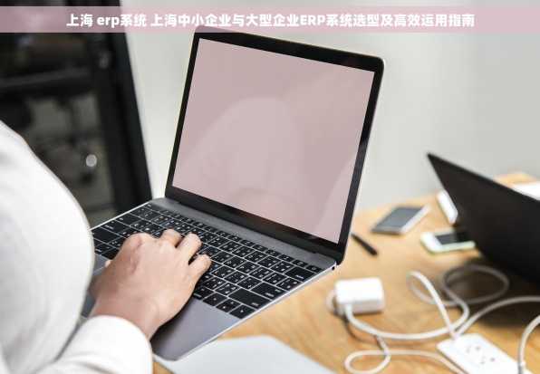 上海 erp系统 上海中小企业与大型企业ERP系统选型及高效运用指南