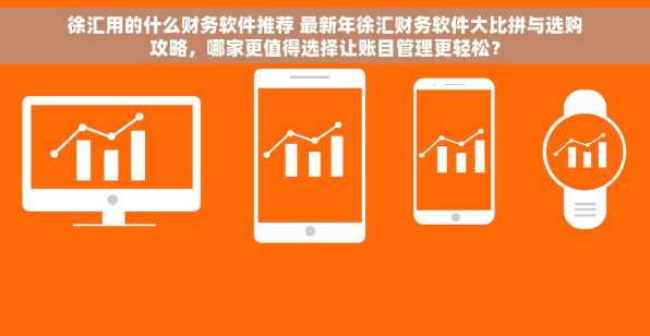 徐汇用的什么财务软件推荐 最新年徐汇财务软件大比拼与选购攻略，哪家更值得选择让账目管理更轻松？