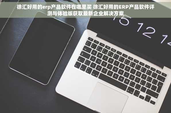 徐汇好用的erp产品软件在哪里买 徐汇好用的ERP产品软件评测与体验版获取最新企业解决方案