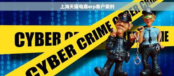 上海天猫电商erp客户案例