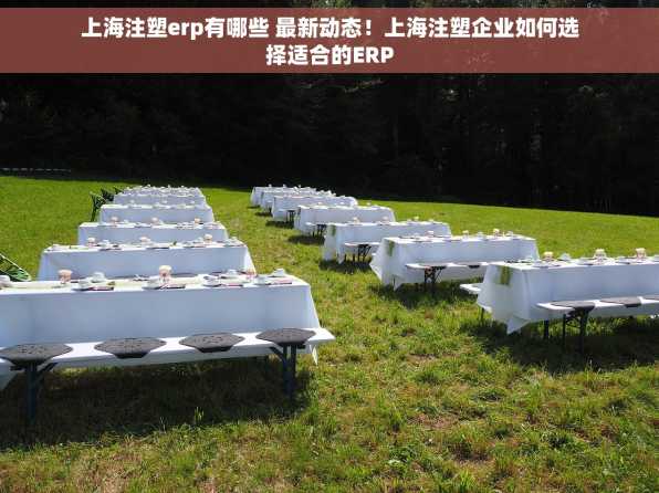 上海注塑erp有哪些 最新动态！上海注塑企业如何选择适合的ERP