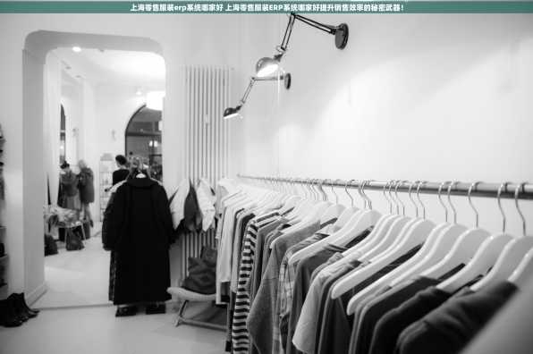 上海零售服装erp系统哪家好 上海零售服装ERP系统哪家好提升销售效率的秘密武器！