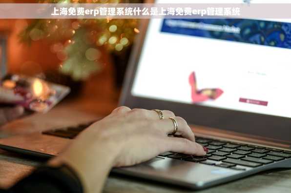 上海免费erp管理系统什么是上海免费erp管理系统