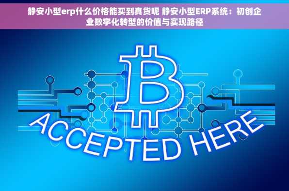 静安小型erp什么价格能买到真货呢 静安小型ERP系统：初创企业数字化转型的价值与实现路径