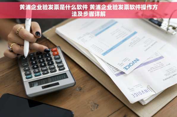 黄浦企业验发票是什么软件 黄浦企业验发票软件操作方法及步骤详解