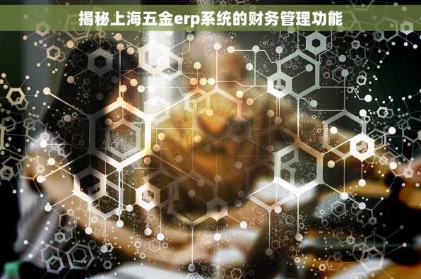 揭秘上海五金erp系统的财务管理功能
