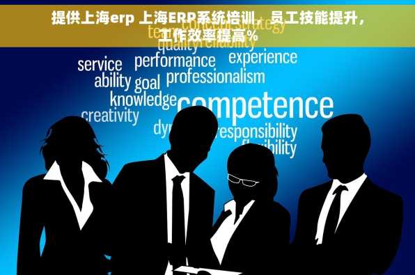 提供上海erp 上海ERP系统培训，员工技能提升，工作效率提高%