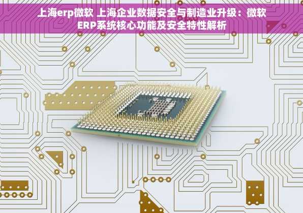 上海erp微软 上海企业数据安全与制造业升级：微软ERP系统核心功能及安全特性解析