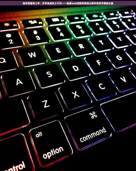 操作简便易上手，月节省成本上千元——杨浦web进销存系统让新手变高手商家必备