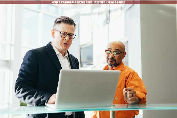 杨浦代理记账报税服务 杨浦代理记账服务：流程详解与公司注册后必备服务