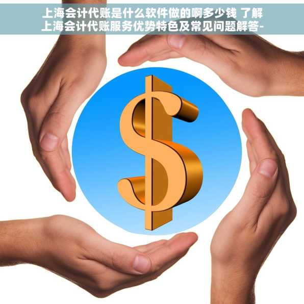 上海会计代账是什么软件做的啊多少钱 了解上海会计代账服务优势特色及常见问题解答-软件费用一览