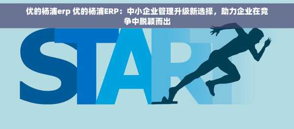 优的杨浦erp 优的杨浦ERP：中小企业管理升级新选择，助力企业在竞争中脱颖而出