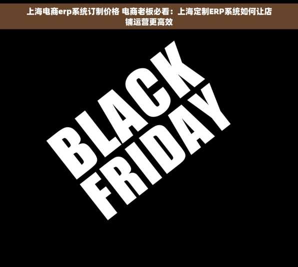上海电商erp系统订制价格 电商老板必看：上海定制ERP系统如何让店铺运营更高效