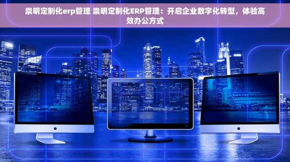 崇明定制化erp管理 崇明定制化ERP管理：开启企业数字化转型，体验高效办公方式