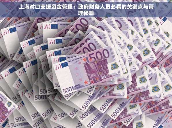 上海对口支援资金管理：政府财务人员必看的关键点与管理秘籍