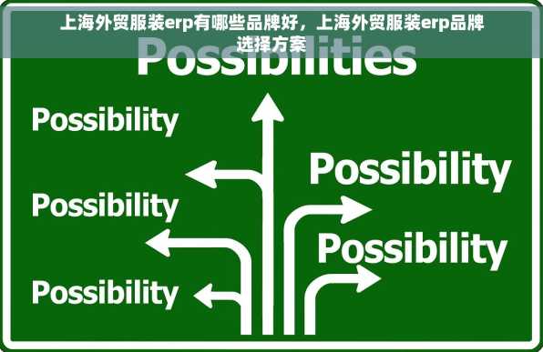 上海外贸服装erp有哪些品牌好，上海外贸服装erp品牌选择方案