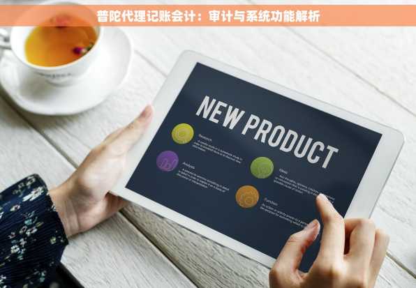 普陀代理记账会计：审计与系统功能解析