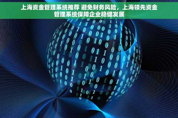 上海资金管理系统推荐 避免财务风险，上海领先资金管理系统保障企业稳健发展