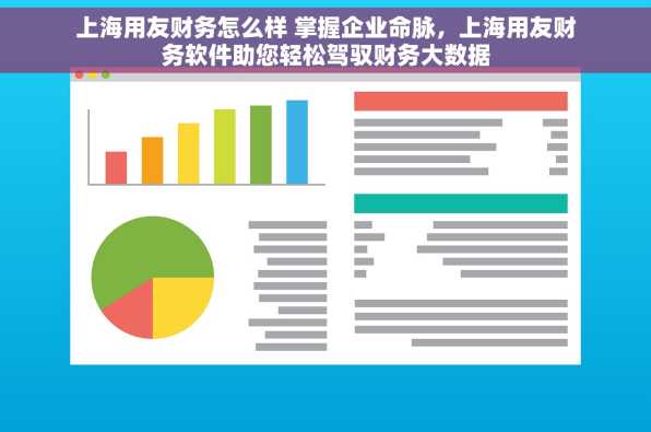 上海用友财务怎么样 掌握企业命脉，上海用友财务软件助您轻松驾驭财务大数据